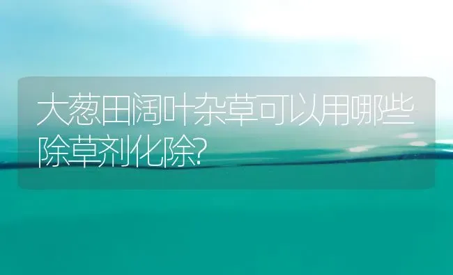 大葱田阔叶杂草可以用哪些除草剂化除? | 养殖技术大全