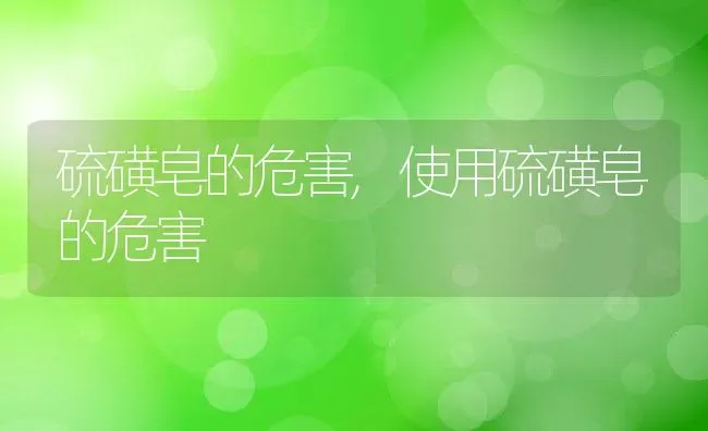 硫磺皂的危害,使用硫磺皂的危害 | 养殖科普