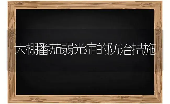 大棚番茄弱光症的防治措施 | 养殖技术大全