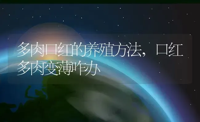 多肉口红的养殖方法,口红多肉变薄咋办 | 养殖学堂