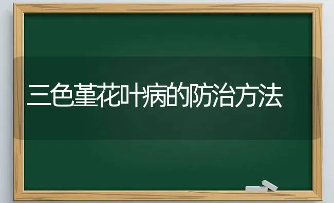 三色堇花叶病的防治方法 | 养殖知识