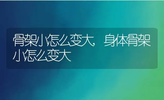 骨架小怎么变大,身体骨架小怎么变大 | 养殖资料