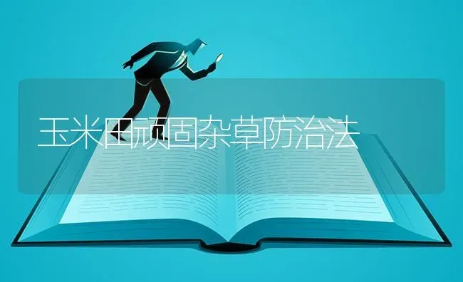 生姜的安全生产技术要点 | 养殖技术大全