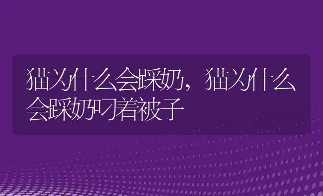 猫为什么会踩奶,猫为什么会踩奶叼着被子 | 养殖资料