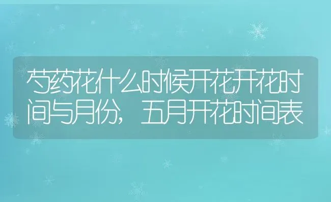 芍药花什么时候开花开花时间与月份,五月开花时间表 | 养殖学堂