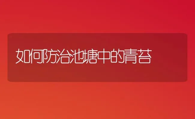 如何防治池塘中的青苔 | 养殖技术大全