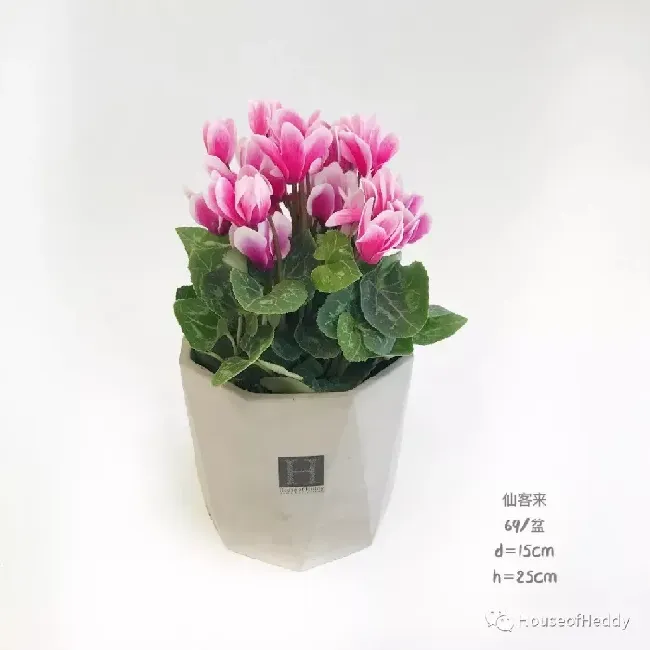 感谢老师的栽培是什么意思,感谢老师栽培的文案短句？