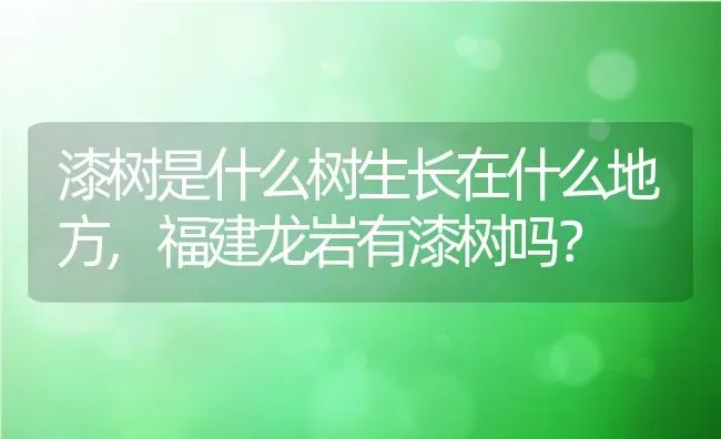 漆树是什么树生长在什么地方,福建龙岩有漆树吗？ | 养殖科普