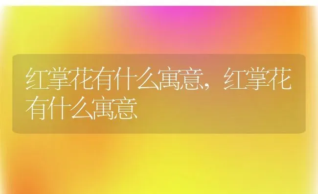 红掌花有什么寓意,红掌花有什么寓意 | 养殖科普