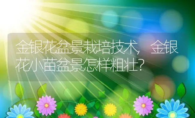 金银花盆景栽培技术,金银花小苗盆景怎样粗壮？ | 养殖科普