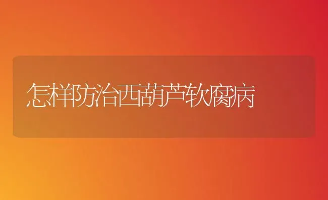 怎样防治西葫芦软腐病 | 养殖知识