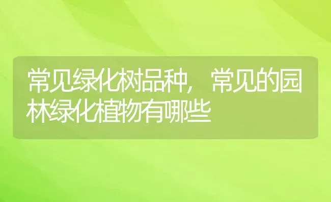 常见绿化树品种,常见的园林绿化植物有哪些 | 养殖学堂