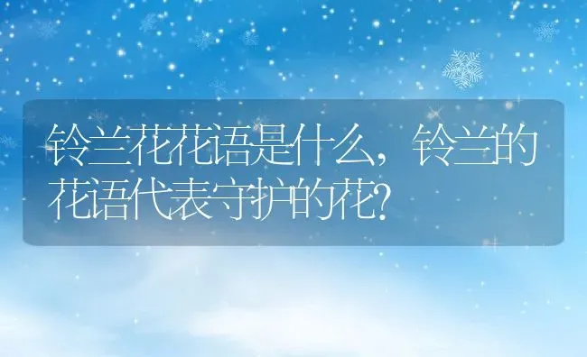 铃兰花花语是什么,铃兰的花语代表守护的花？ | 养殖学堂