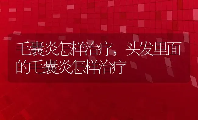 毛囊炎怎样治疗,头发里面的毛囊炎怎样治疗 | 养殖科普