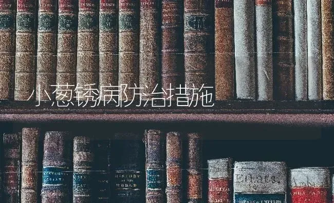 小葱锈病防治措施 | 养殖技术大全
