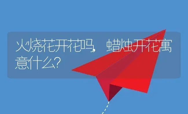 火烧花开花吗,蜡烛开花寓意什么？ | 养殖科普