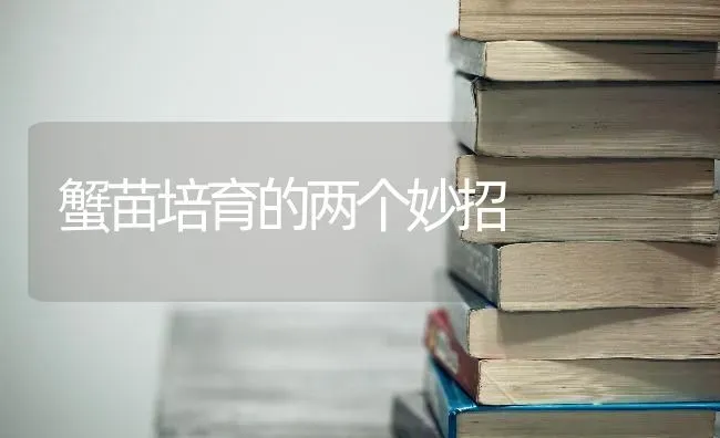 蟹苗培育的两个妙招 | 养殖知识