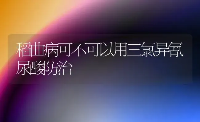 稻曲病可不可以用三氯异氰尿酸防治 | 养殖知识
