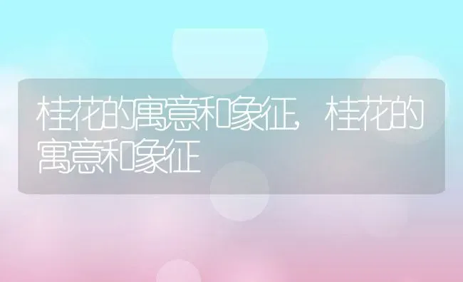 有口臭怎么办,有口臭怎么办才能根除 | 养殖科普