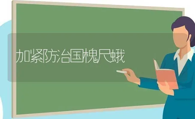 加紧防治国槐尺蛾 | 养殖知识