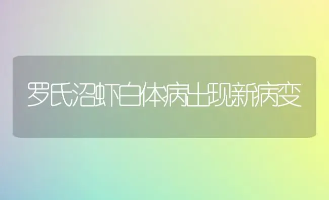 罗氏沼虾白体病出现新病变 | 养殖知识