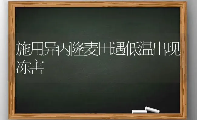 施用异丙隆麦田遇低温出现冻害 | 养殖知识