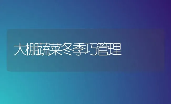 小型收割机的使用与维修 | 养殖技术大全