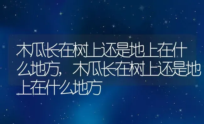 木瓜长在树上还是地上在什么地方,木瓜长在树上还是地上在什么地方 | 养殖科普