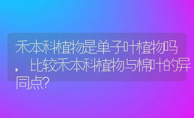 禾本科植物是单子叶植物吗,比较禾本科植物与棉叶的异同点？ | 养殖科普