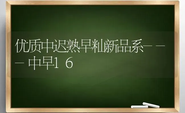 优质中迟熟早籼新品系---中早16 | 养殖技术大全