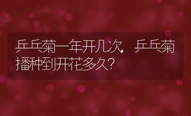 乒乓菊一年开几次,乒乓菊播种到开花多久？ | 养殖科普