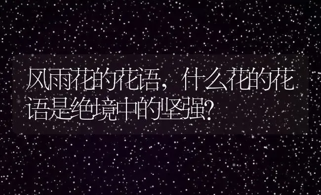 风雨花的花语,什么花的花语是绝境中的坚强？ | 养殖科普