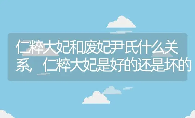 仁粹大妃和废妃尹氏什么关系,仁粹大妃是好的还是坏的 | 养殖学堂