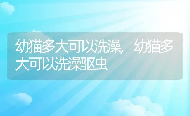 幼猫多大可以洗澡,幼猫多大可以洗澡驱虫 | 养殖资料