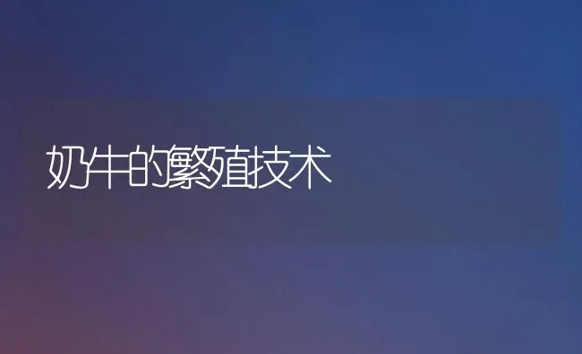 奶牛的繁殖技术 | 养殖知识