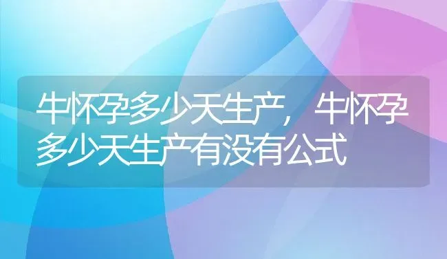 牛怀孕多少天生产,牛怀孕多少天生产有没有公式 | 养殖资料