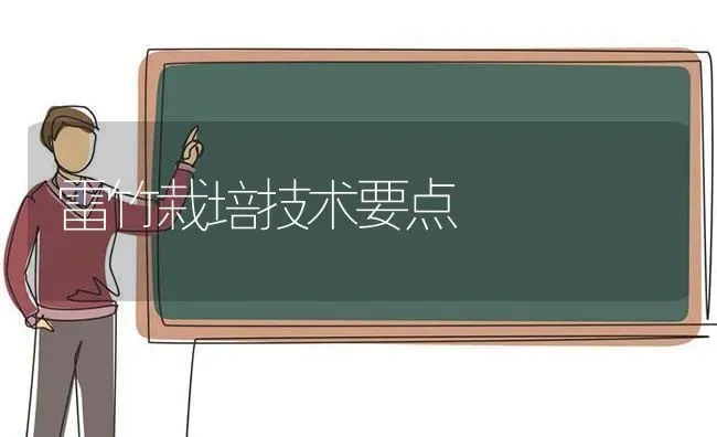 雷竹栽培技术要点 | 养殖技术大全