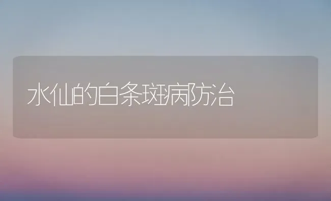 水仙的白条斑病防治 | 养殖知识