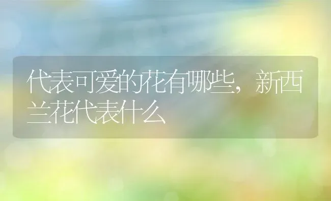 代表可爱的花有哪些,新西兰花代表什么 | 养殖学堂