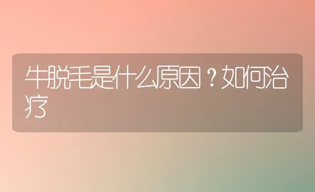 牛脱毛是什么原因?如何治疗 | 养殖技术大全