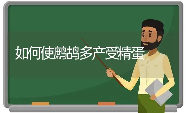 如何使鹧鸪多产受精蛋 | 养殖技术大全