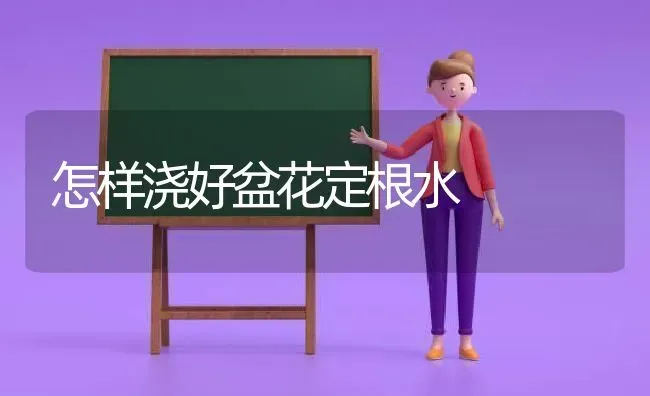 怎样浇好盆花定根水 | 养殖知识