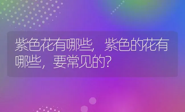 紫色花有哪些,紫色的花有哪些，要常见的？ | 养殖学堂