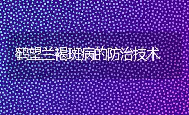 鹤望兰褐斑病的防治技术 | 养殖知识