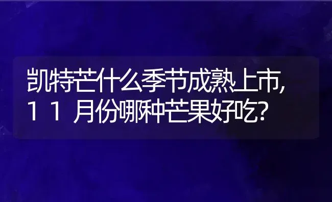 凯特芒什么季节成熟上市,11月份哪种芒果好吃？ | 养殖科普