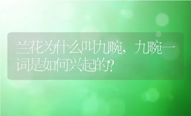 兰花为什么叫九畹,九畹一词是如何兴起的？ | 养殖科普