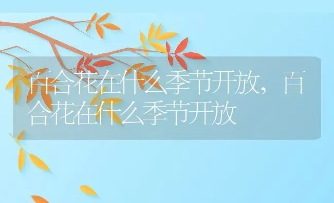 百合花在什么季节开放,百合花在什么季节开放 | 养殖科普