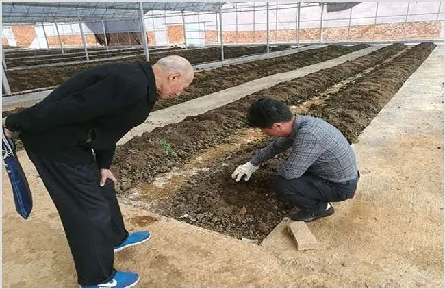 室内蚯蚓养殖技术 室内外养殖效果更佳 | 生活妙招