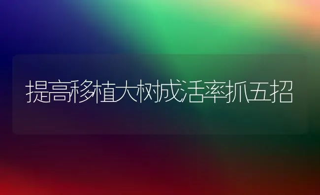 提高移植大树成活率抓五招 | 养殖技术大全