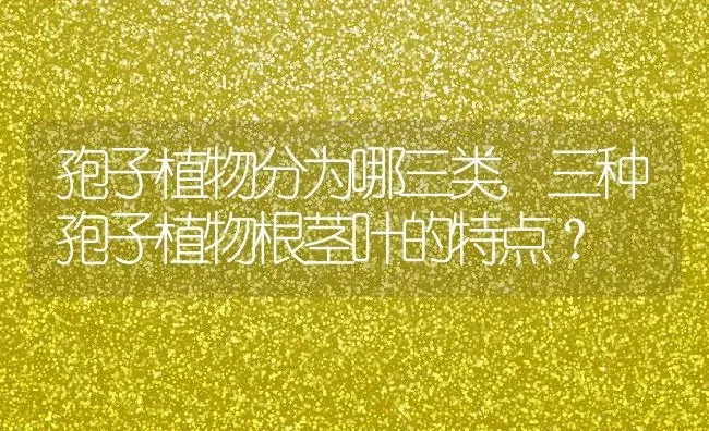 孢子植物分为哪三类,三种孢子植物根茎叶的特点？ | 养殖科普